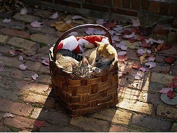 《泰坦之旅2》发售不到72小时 销量已超30万套